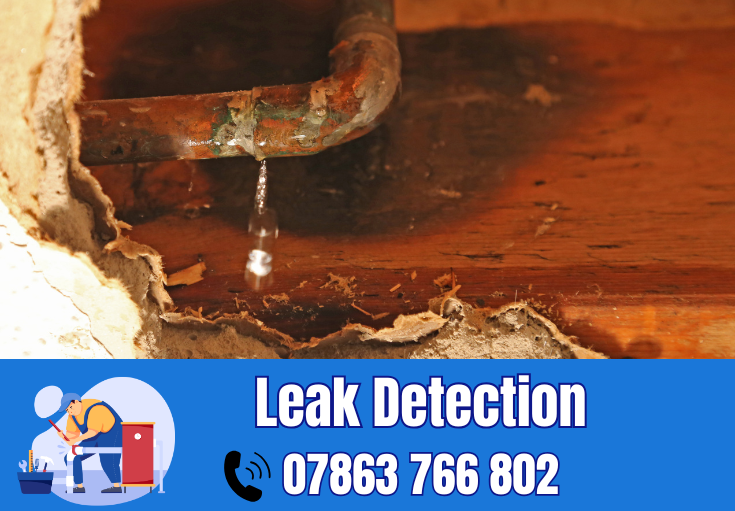 leak detection Rainford
