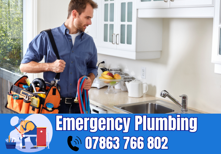  plumber Kings Moss