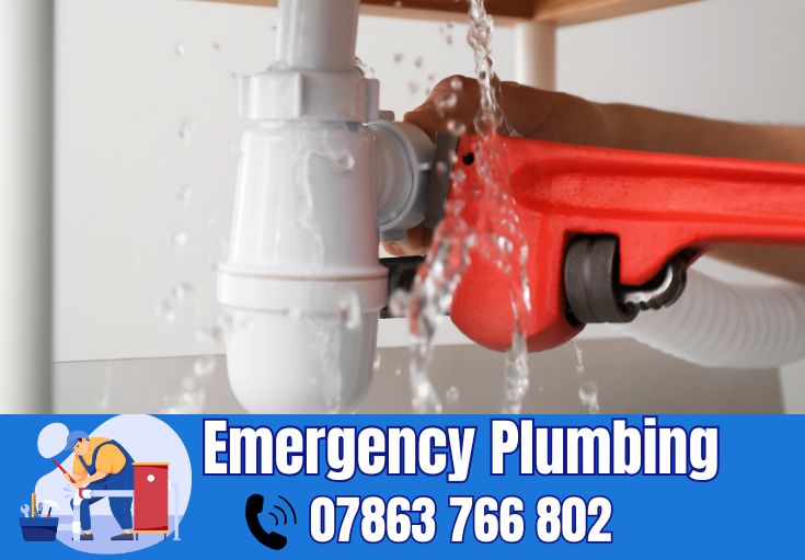  plumber Crank