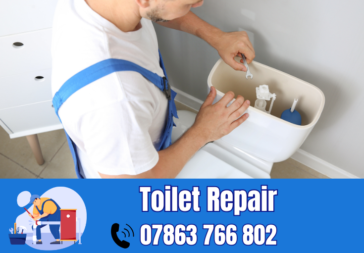 toilet repair Rainford